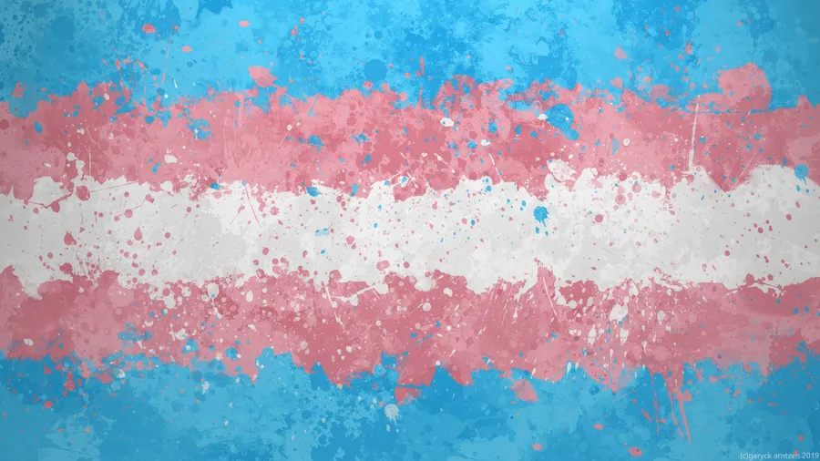 couverture de base du site où on voir le drapeau trans