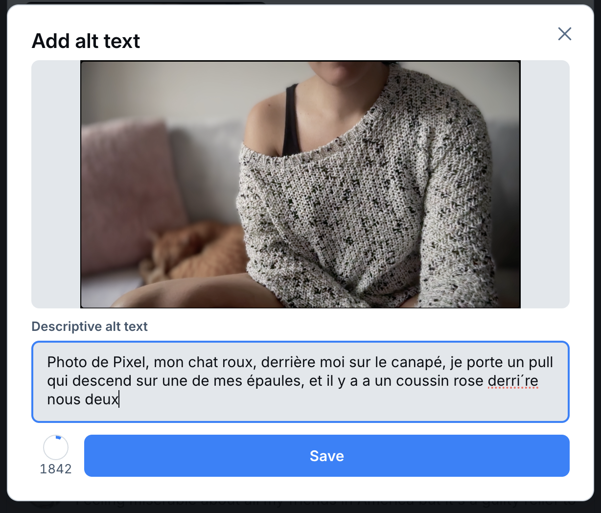 Capture écran d'une modale pour mettre un alt sur BSky, l'image et dans la zone il est écrit : "Photo de Pixel, mon chat roux, derrière moi sur le canapé, je porte un pull qui descend sur une de mes épaules, et il y a a un coussin rose derrière nous deux"