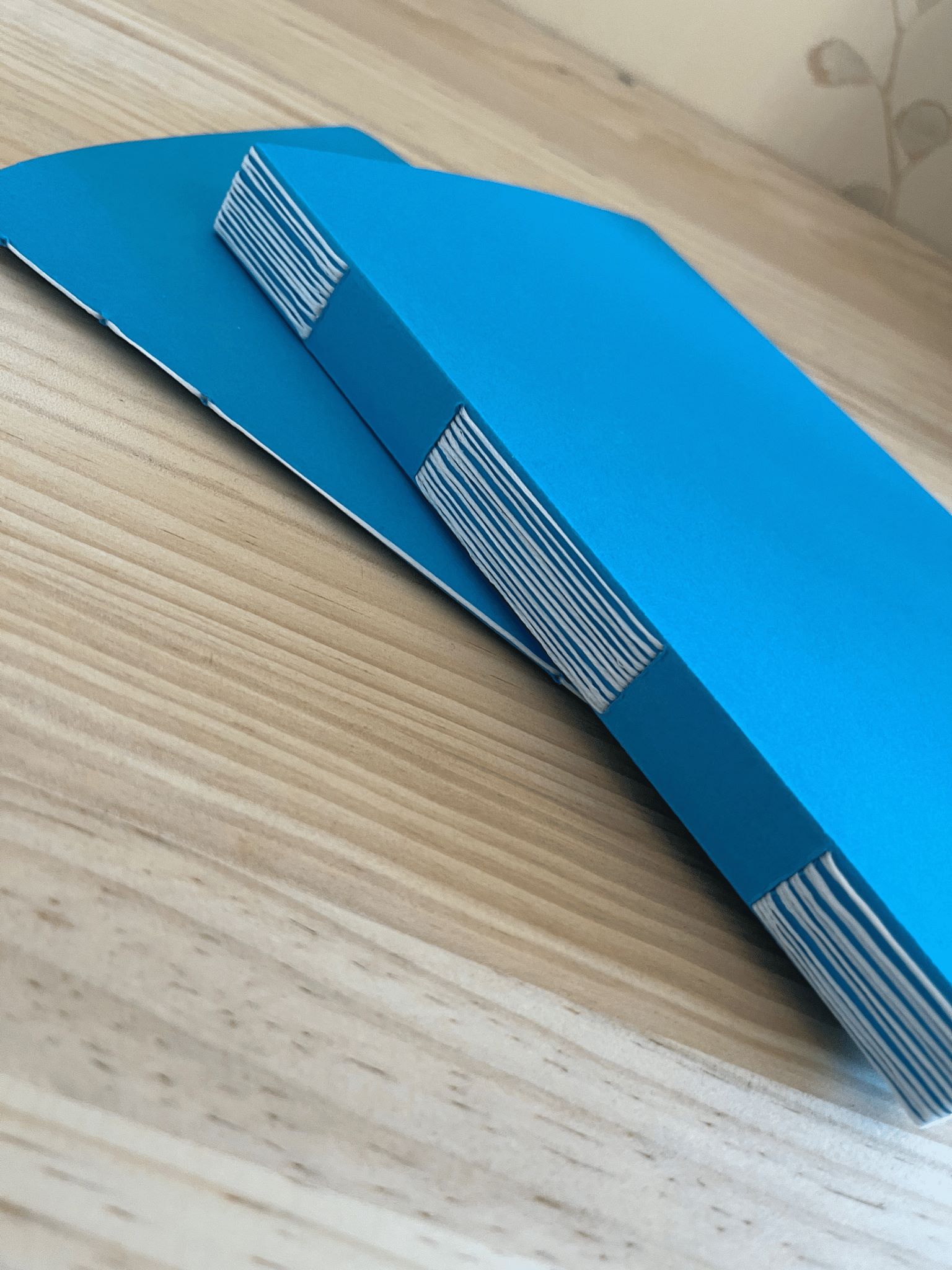 Deux carnets avec une couverture bleue, un fin et un épais, avec des coutures blanches apparentes. Le carnet épais est posé à plat sur le carnet fin. Le carnet épais est cousu en reliure à fente et celui fin est cousu en reliure brochée.