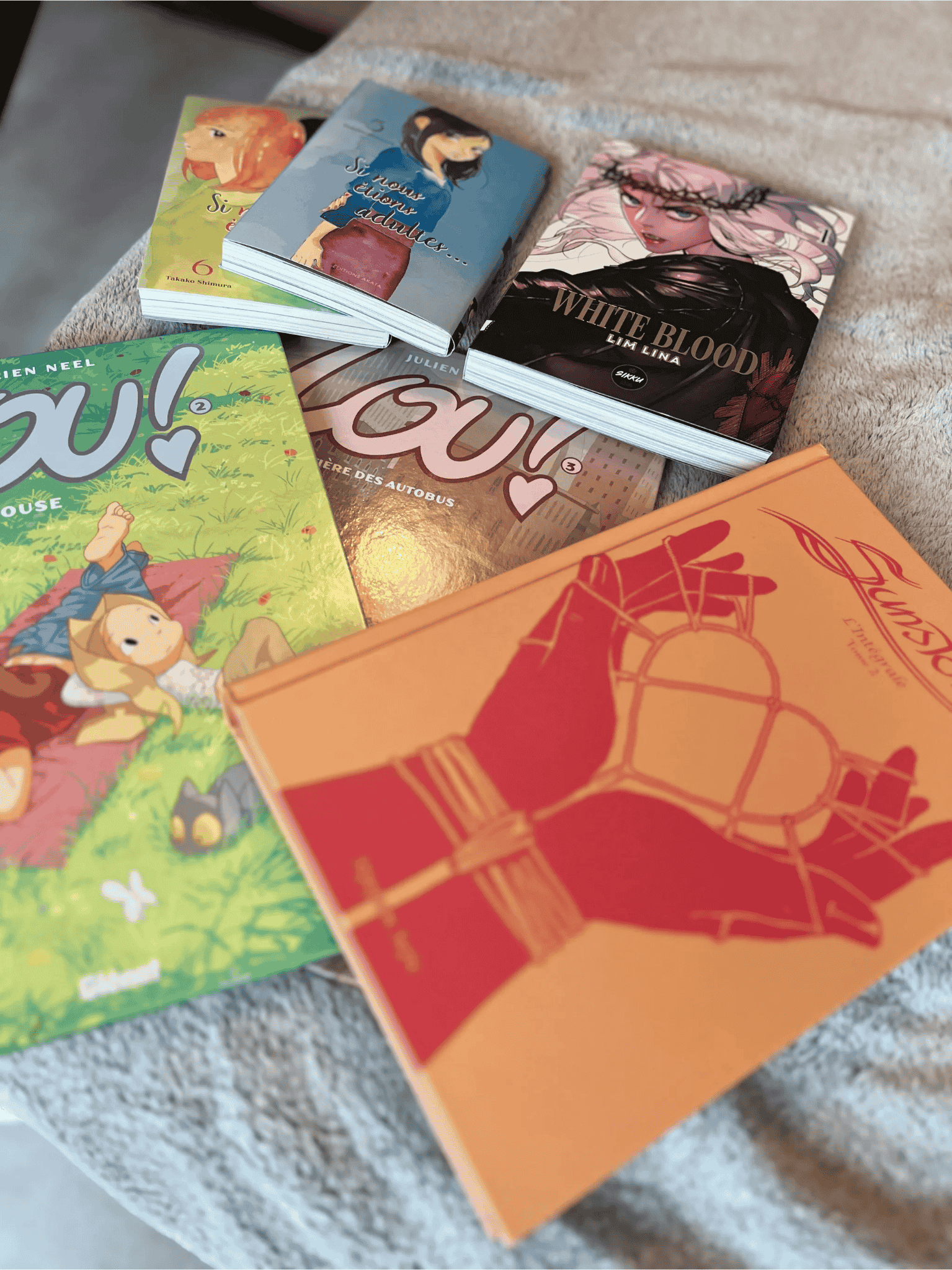 Une photo avec plusieurs tomes de plusieur·es BD, mange et manhua