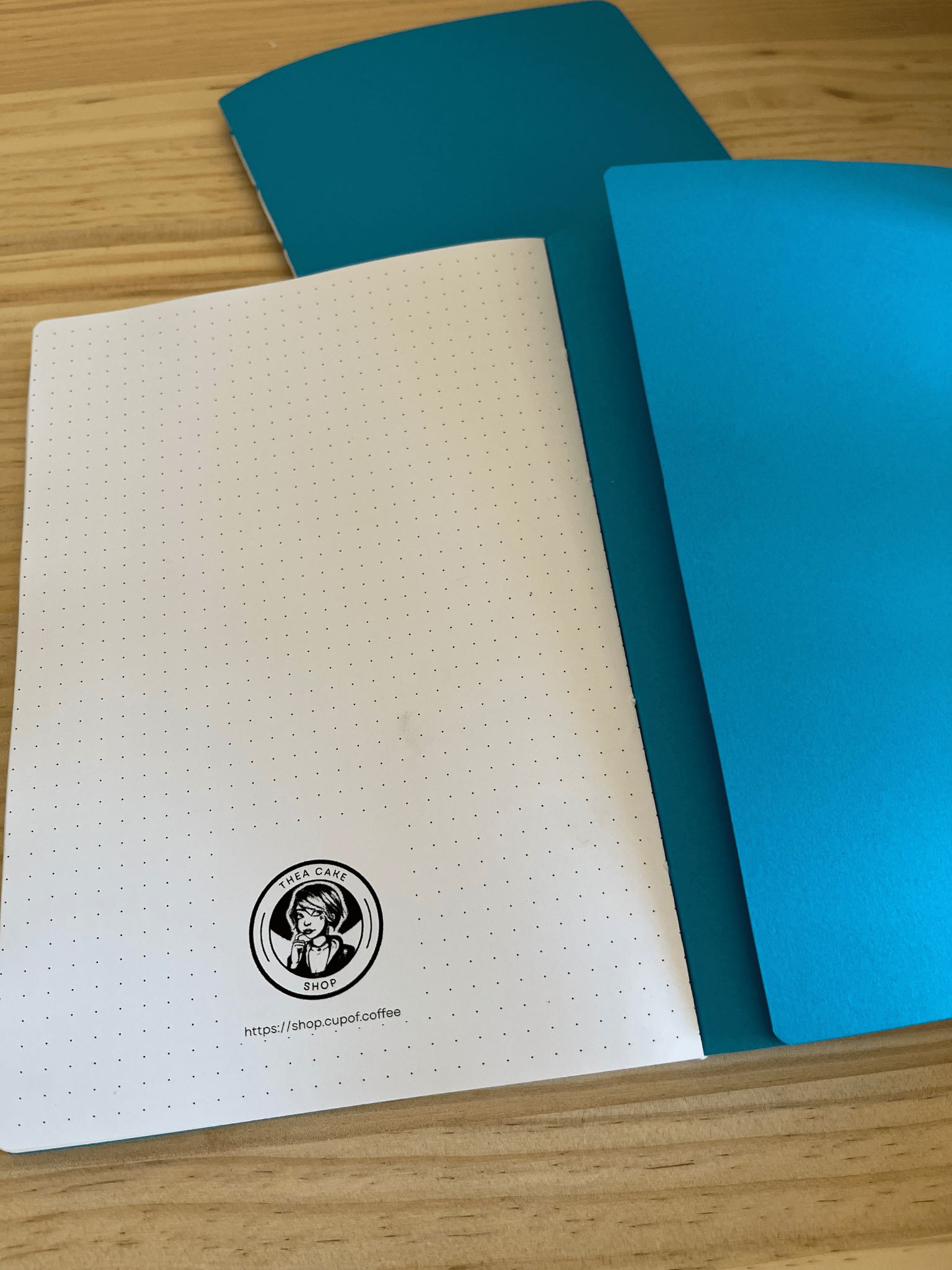 Deux carnets avec une couverture bleue, un fin et un épais, avec des coutures blanches apparentes. Le carnet épais est ouvert sur la dernière page et le rabat de la couverture est replié.